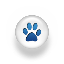Feline underground on sale rescue